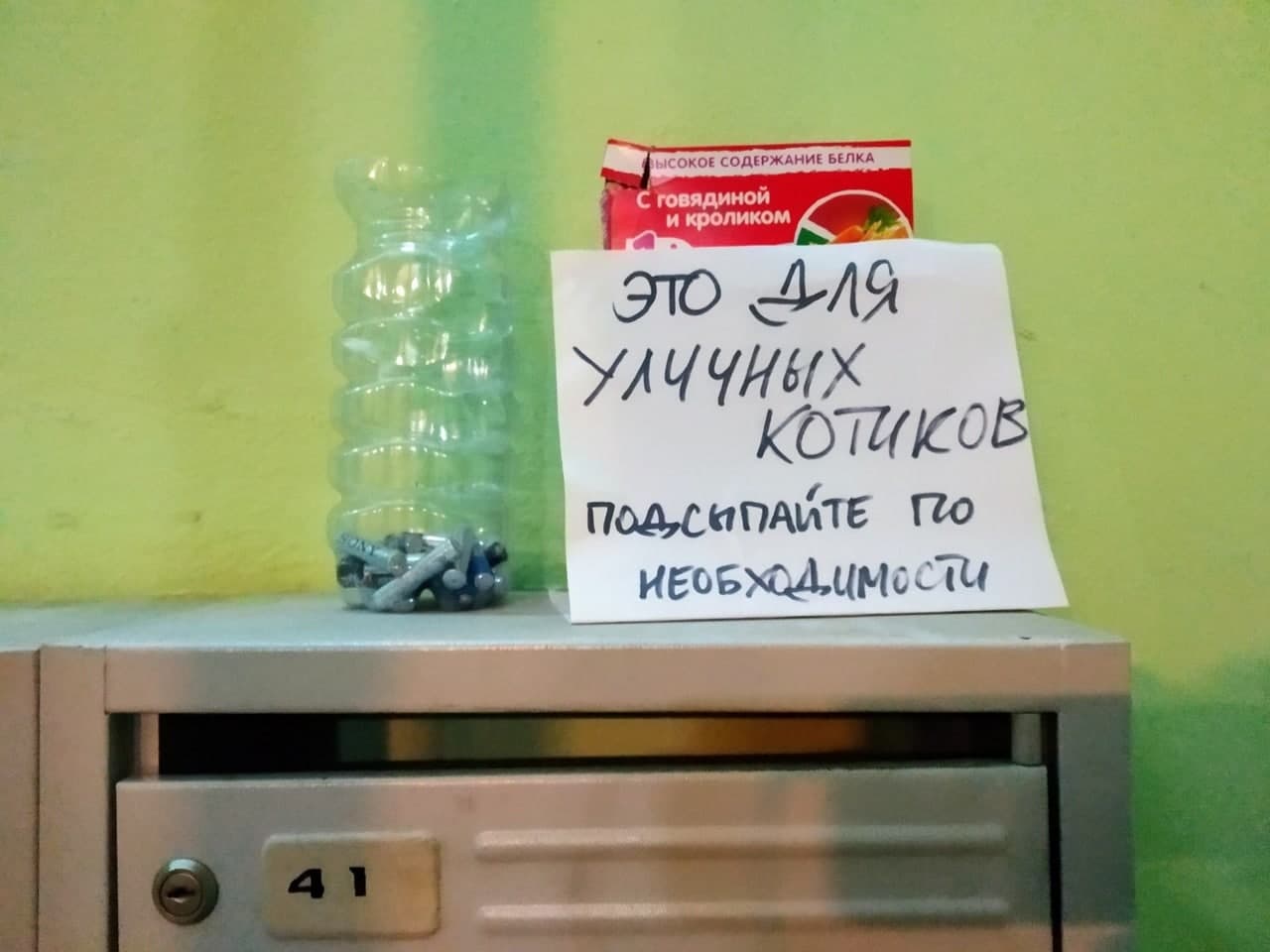 Жильцы дома в проезде Шокальского собирают корм для бездомных кошек
