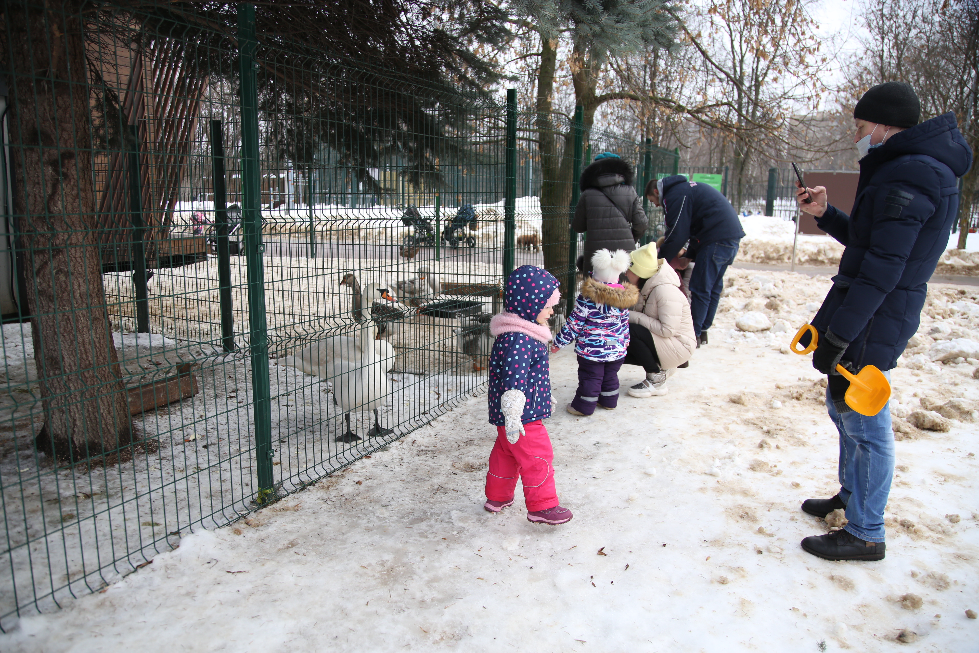 Уголок живой природы в Южном Медведкове