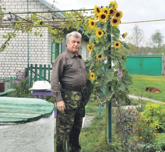 Настоящий полковник из Бибирева выращивает подсолнухи для птиц