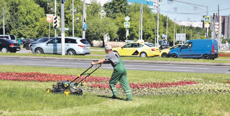 Цветы для СВАО