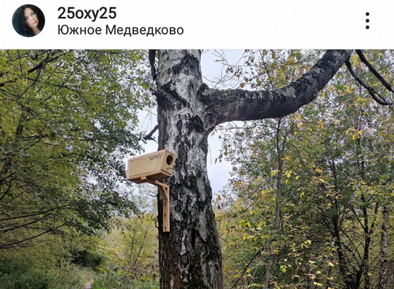 В Южном Медведкове появился необычный скворечник – о чем пишут районные СМИ