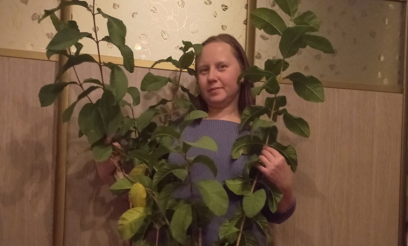 Тропиканка с Кипра прописалась на Ярославке