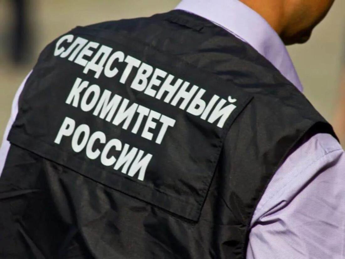 Следственный комитет начал проверку после стрельбы возле школы на Палехской