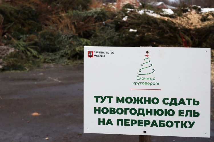 Жители СВАО до 20 февраля примут участие в акции «Елочный круговорот»
