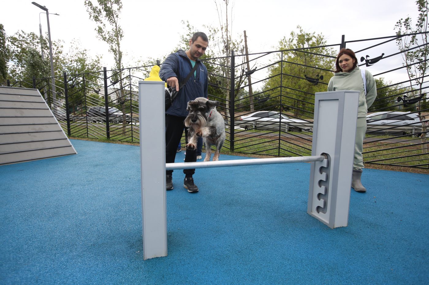 Жители СВАО могут оценить площадки для собак на портале «Активный гражданин»
