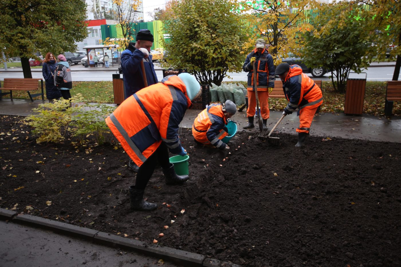 В СВАО высадили тюльпаны, которые взойдут весной