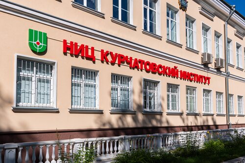 Рунет создали 29 лет назад ученые Курчатовского института