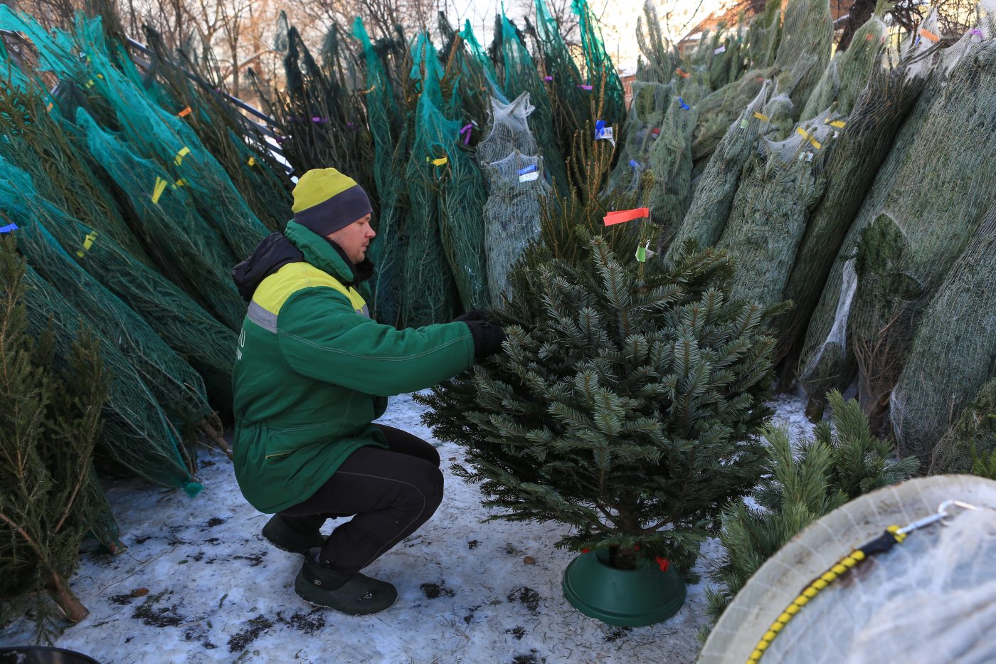 В СВАО откроются ёлочные базары | 18.12.2023 | Москва - БезФормата