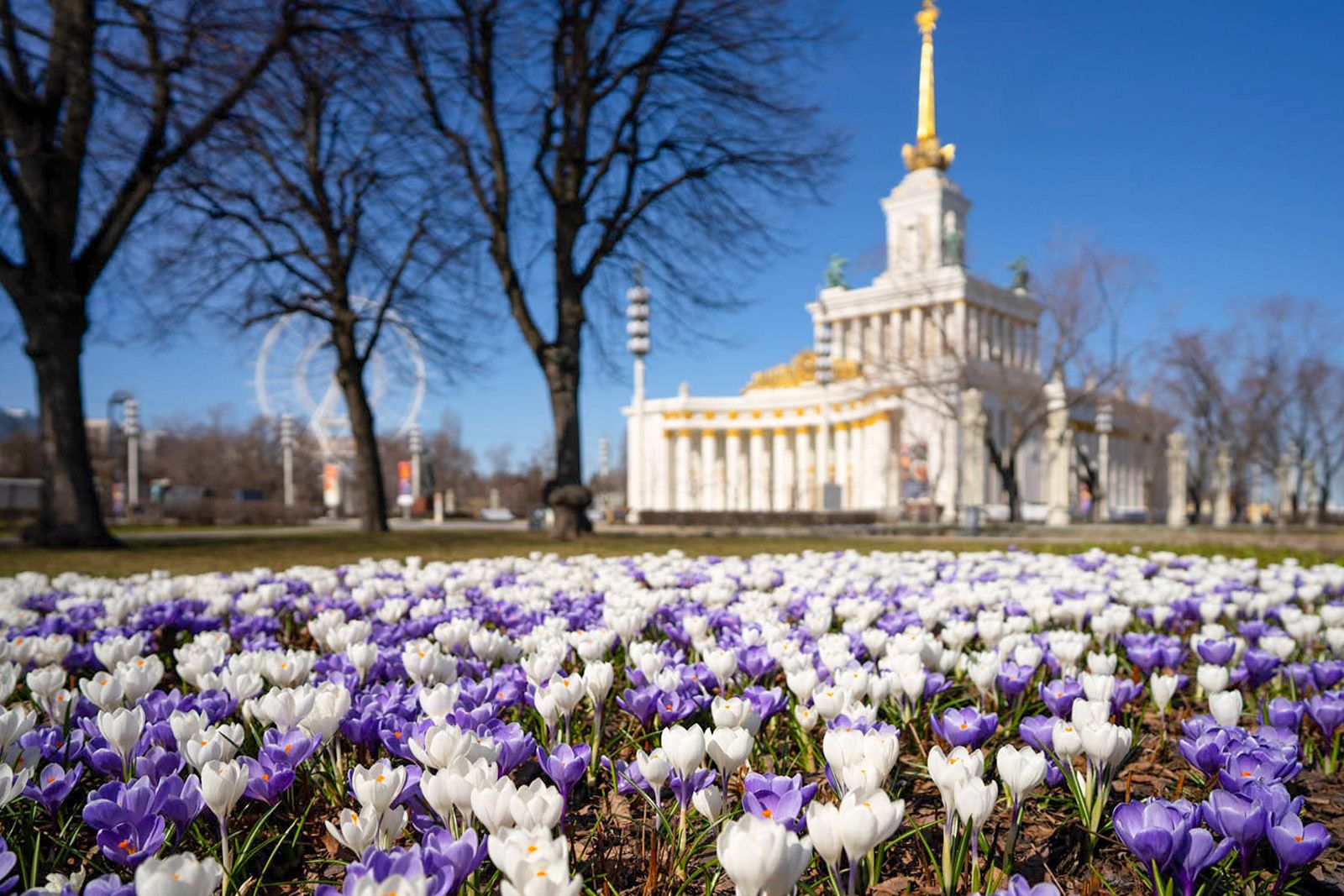 Расцвела страна родная