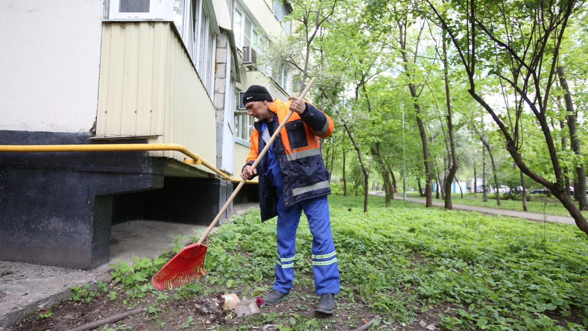 В СВАО соседи бросали мусор из окна | Звездный Бульвар