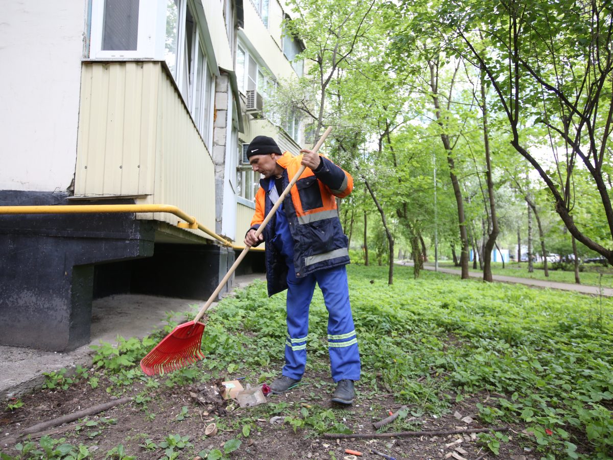 В СВАО соседи бросали мусор из окна | Звездный Бульвар