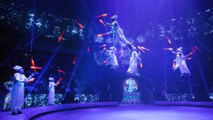 В Москве завершился Всемирный фестиваль циркового искусства «Идол-2024»