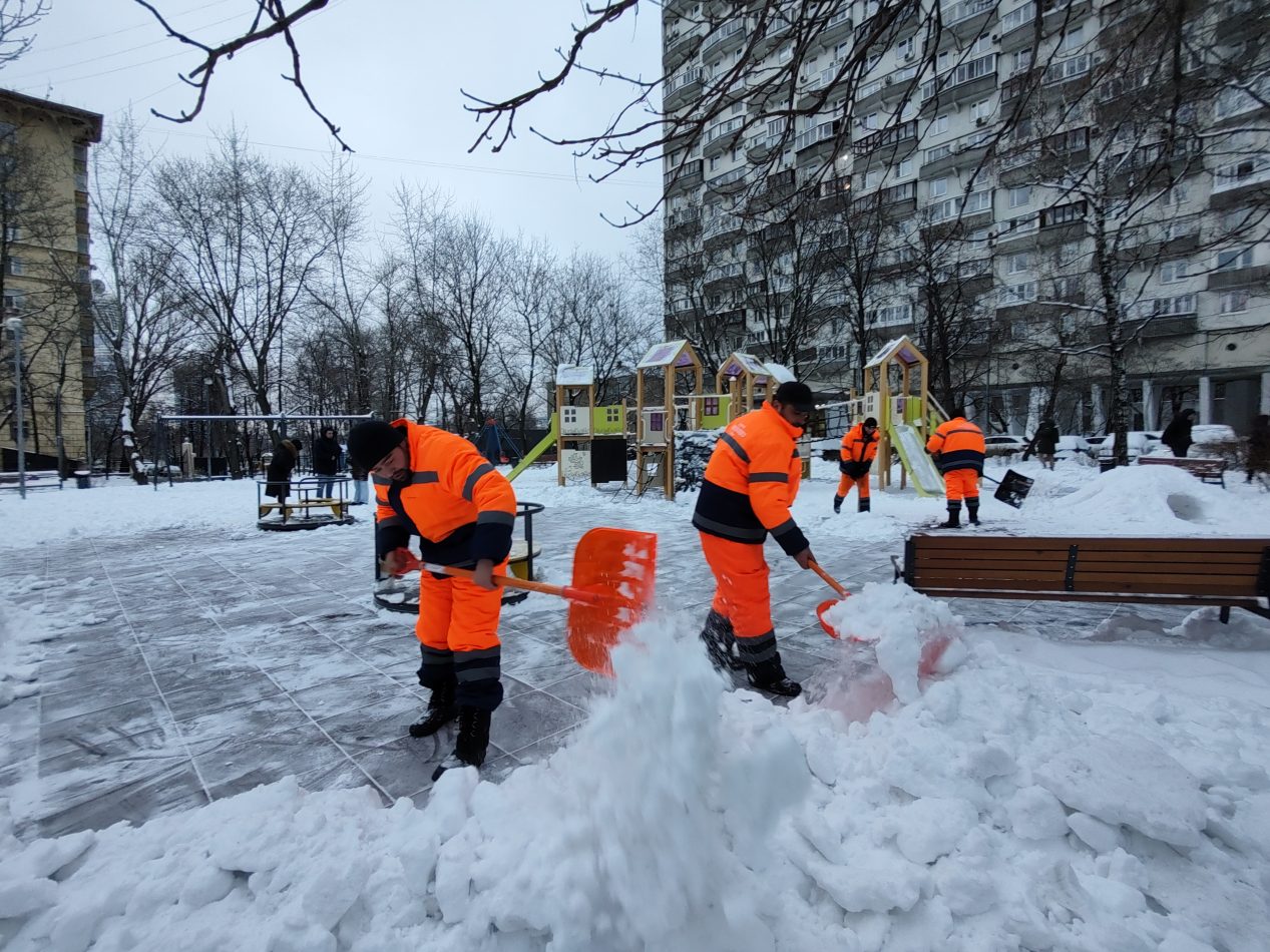 В СВАО справились с первым снегопадом