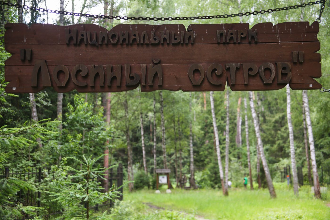 В Лосином острове пройдут экологические прогулки, квесты и мастер-классы