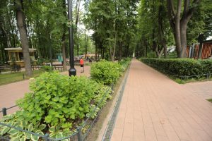 В Бабушкинском парке пройдет экологический фестиваль