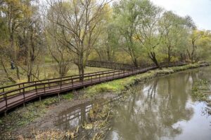 В «Яузе» пройдут экопрогулки, посвящённые птицам и водным объектам